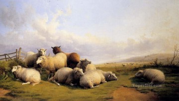 Thomas Sidney Cooper Painting - Ovejas en un extenso paisaje animales de granja Thomas Sidney Cooper